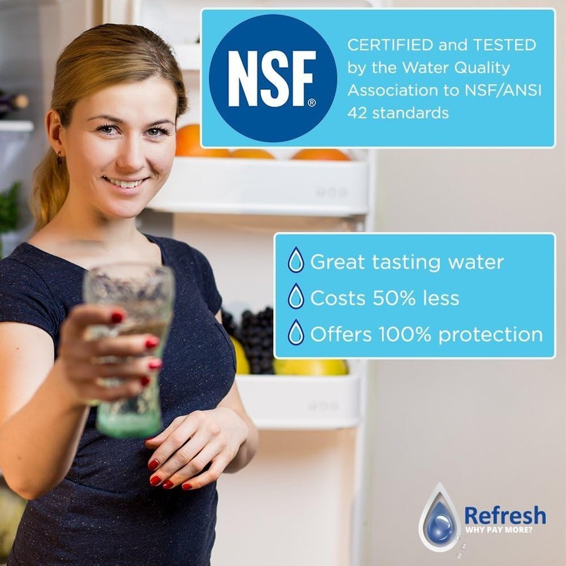 Refresh R-9006 Refrigerator Water Filter Replacement for UFK8001, WF295, WSM-2,