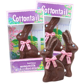 Needzo Hollow Milk Chocolate Easter Bunny, Individually Boxed Candy Gift for Girls, 3.5 Ounces (2 Pack)