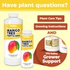 Mango Tree Fertilizer for All Mangoes and Anacardiaceae Trees, Liquid
