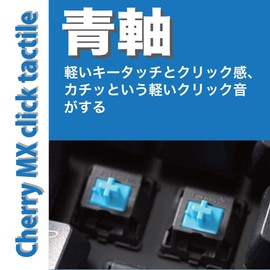 FILCO Majestouch TenKeyPad 2 Professional PBT CHERRY MX Blue Axis USB 2 Color Molded Key Cap with Ring Shape Keeper Black FTKP22MC/B2D-KP03