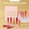 12 Cores De Batom Matte Kit De Gloss Labial Impermeável