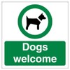Vsafety Dogs Welcome - 150mm x 150mm - Window Sticker