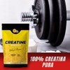 More Than Pure Creatina Monohidratada, 300g, 60 Servicios, Sabor Natural,