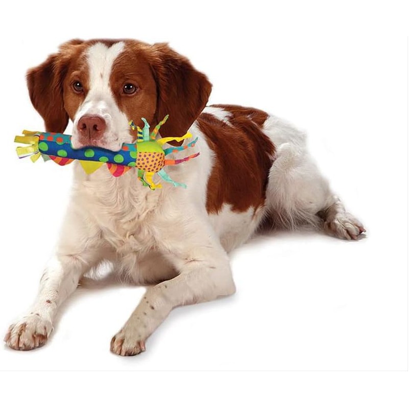 Dog Toy Pet Stages Cool Teething Stick