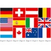 Flaggenfritze Sweatband with Austrian Flag Design of Styria, Set of