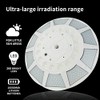 Solar Flag Pole Light – 360° LED Illumination, Solar Powered,