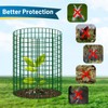 Toolterritary 15 Pack Plant Protectors from Animals, 12" H X