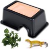 Hamiledyi Reptile Hide Box Gecko Hideout Cave with Sink Humidifier