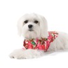 United Pups Hawaiian Shirt for Dogs Small to Medium Pets