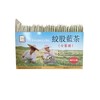 Gynostemma (Jiaogulan) tea (72 Pack )