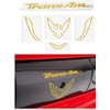 Trans Am Rear Panel Overlay Decal - 93-02 Trans Am