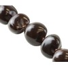 Hawaiian Kukui Nut Brown Shell 32" Necklace