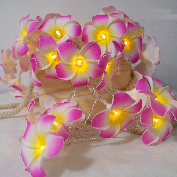 Lxcom Lighting LED Flower String Lights 19ft 40 LEDs Artificial