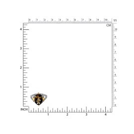 Silvershake 5.37ct. Natural Smoky Quartz and Citrine White Gold Plated 925 Sterling Silver Ring Size 8