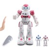 Pup Go Kids Remote Control Smart Ai Robot Toy, Singing
