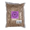 Pinto Beans Dry Bulk - 5lbs - Pinto Beans Bulk