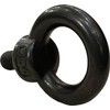BLOOM SPIRITS Eye Bolt, M8, Stainless Steel, Black