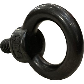 BLOOM SPIRITS Eye Bolt, M8, Stainless Steel, Black