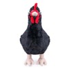 Tiny Heart Simulation of Black Hen Plush Toys, Chicken Shrimp