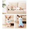 Dog Recovery Suit Blue Stars Pattern Prevents Licking Cotton Pet