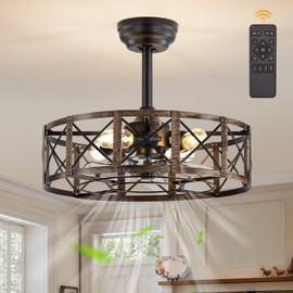 Fanbulous 20 Inch Fandelier Caged Ceiling Fans with Lights and Remote, Black Farmhouse Ceiling Fan, Bladeless Samll Fan Lights Ceiling Fixtures For Kitchen, Bedroom-Black and Gold