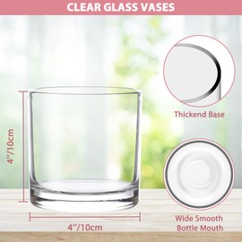 4 x 4 Inch Cylinder Vase,Set of 6 Small Glass Vases for Table Centerpieces,Clear Flower Vases,Decorative Glass Vase for Home Decor,Candle Holder,Wedding Favors(4" W X 4" H)