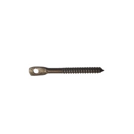 Eye lag Wood Screw 100 pcs. W300