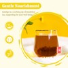 FullChea - Dandelion Root Tea Bags, 40 Teabags, 2.5g/bag -