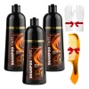 Pzas Shampoo Tinte Cubre Canas Natural Jengibre 500ml