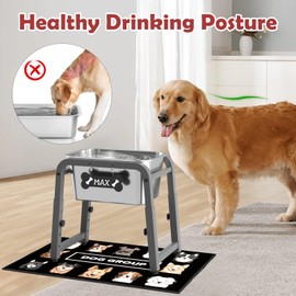 2.8 Gallon Elevated Dog Water Bowl, ADENGL Height Adjustable (10.4–15.2'') Raised Stainless Steel Bowl with Spill-Proof Mat & Sturdy Metal Stand, Tip-Proof, Easy to Clean, Indoor & Outdoor Use