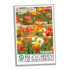 Iceland Poppy Seeds Flower Mix, 3000 Heirloom Flower Seeds Per Packet, Non GMO Seeds, Botanical Name: Papaver nudicaule, Isla's Garden Seeds