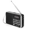 Portable Digital Audio Player HiFi Music Speaker Support FM Radio