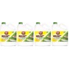 RustAid GSX00101 Goof, 1 Gallon GAL Rust Stain Remover (Four