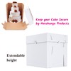 Huoshange Tall Cake Boxes for Tier Cakes,10x10x12 Inch [3Pack ]