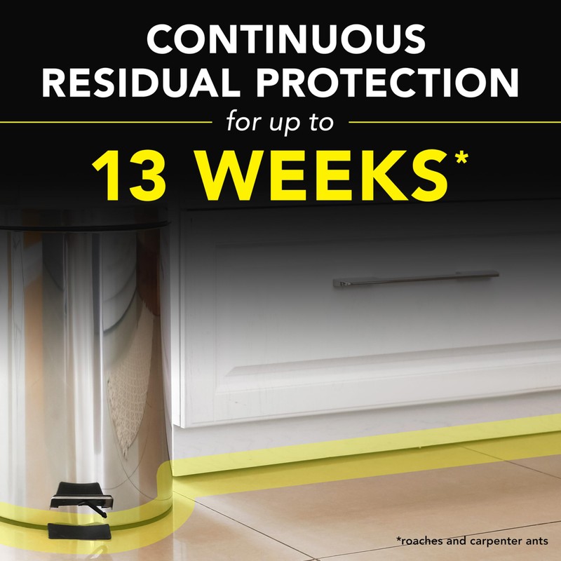 Raid Ant & Roach Killer 26, Fragrance Free Bug Killer