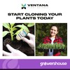Ventana Plant Science Cloning Gel - Cloning Paste with Rapid