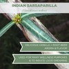Elanen Naturals Indian Sarsaparilla Root, USDA Certified Organic, Cut &