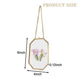Mini Brass Wall Hanging Photo Frame, 4x6 Inches Glass Hanging Picture Artwork Display Frame, Double Glass Floating Frame Style Gallery Wall Frame for Picture, Pressed Flower, Poster, etc (Gold - Vertical)