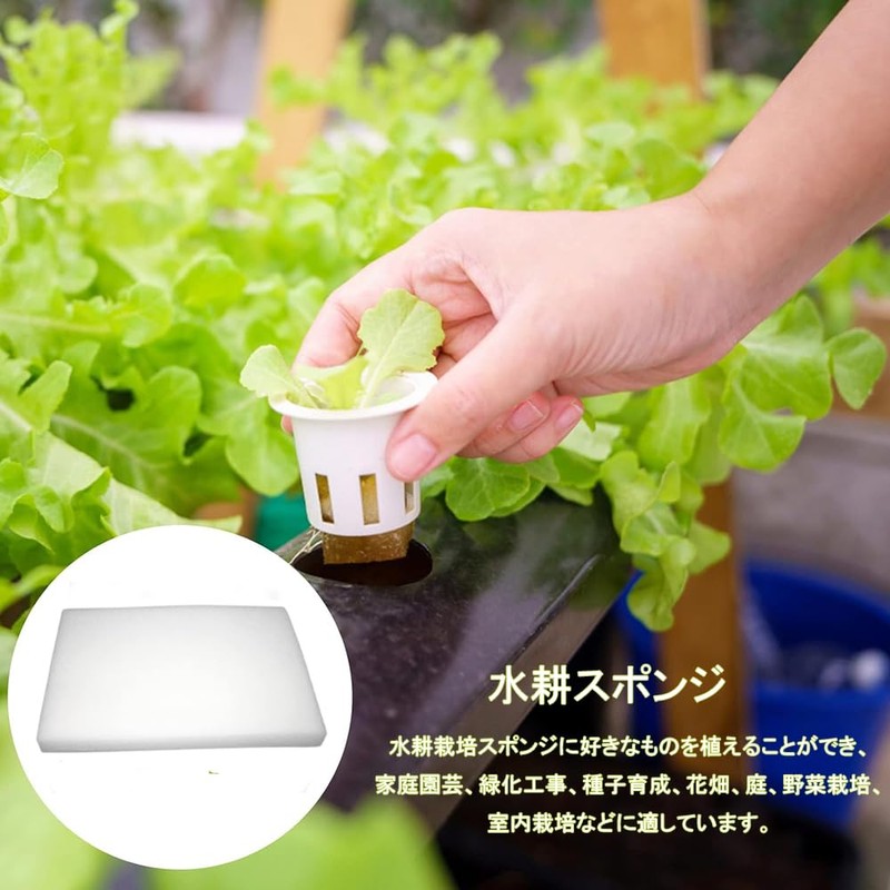 Phyxiul Hydroponics Sponge, Vegetable Planting Sponge, Gardening Supplies, Hydroponic Cultivation,