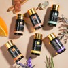 MAYJAM Tea Tree 20 Pcs Pure Essential Oil Gift Set,