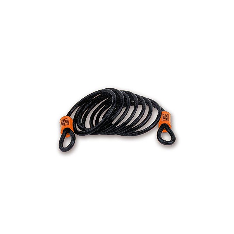 BURG-WÄCHTER safety cable, with 2 eyelets, length: 2.5 m, for