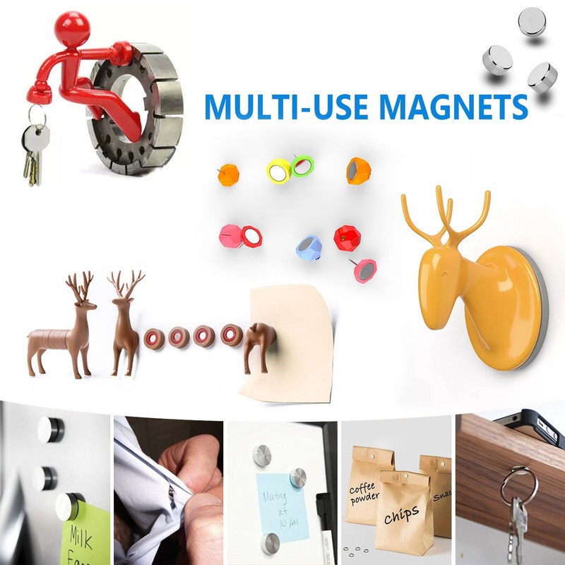 OMO Magnetics ネオジムマグネット ネオジウム磁石 N35 円形 丸型 5x3mm ニッケルメッキ 専用ケース付き