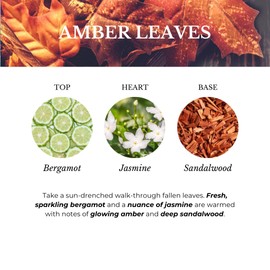 Ashleigh & Burwood Raumduft AMBER LEAVES 500 ml