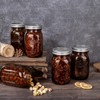 WELLIFE Amber Mason Jars, 9 Pack wide mouth mason jars