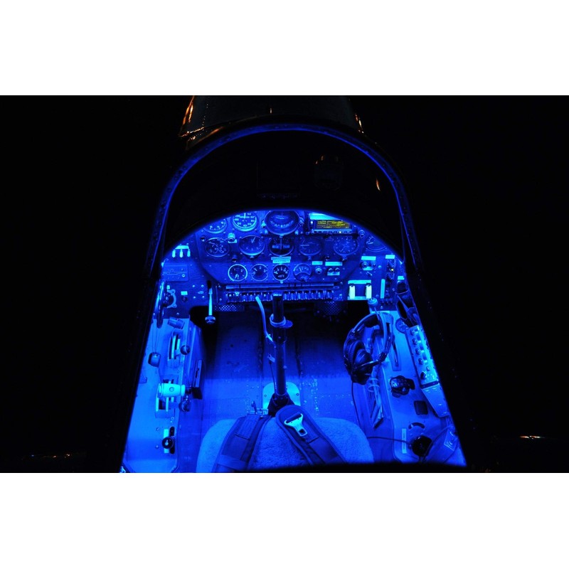 LED Convenience Courtesy LED Light - Bright BLUE internal LEDs