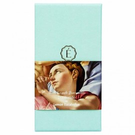 Emelsi Michelangelo Car Air Freshener Lemon Eucalyptus 10ea