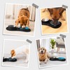 MateeyLife Dog Food Bowl Set 3 in 1, Dog Bowls