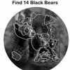 Remorelt 3PCS/Set Large Size Dream Catcher Wolf & Eagle Pattern