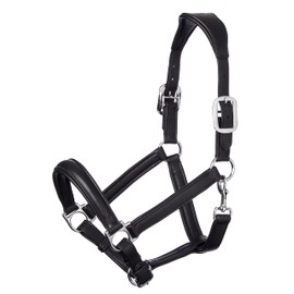 LeMieux Anatomic Headcollar for Horses in Black - Padded Leather & Metal Fittings - Adjustable - Cob