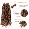Umylar 8 Packs Passion Twist Hair 10 Inch Pre-twisted Passion